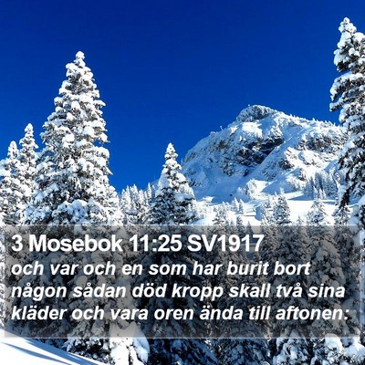 3 Mosebok 11:25 SV1917 Bible Verse Image