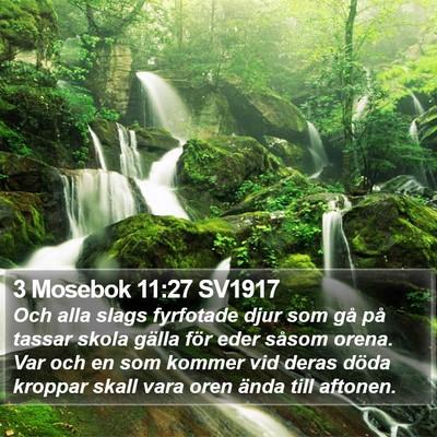 3 Mosebok 11:27 SV1917 Bible Verse Image
