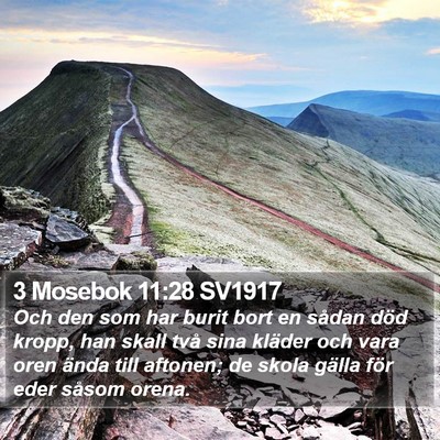 3 Mosebok 11:28 SV1917 Bible Verse Image