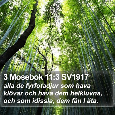 3 Mosebok 11:3 SV1917 Bible Verse Image