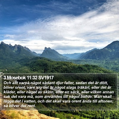 3 Mosebok 11:32 SV1917 Bible Verse Image
