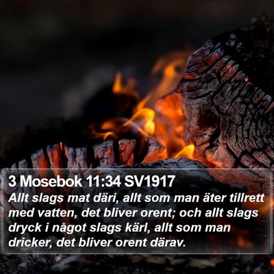 3 Mosebok 11:34 SV1917 Bible Verse Image