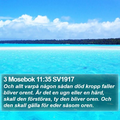 3 Mosebok 11:35 SV1917 Bible Verse Image