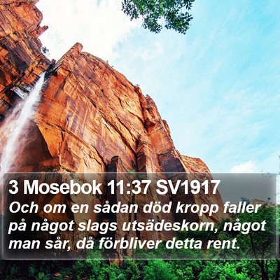 3 Mosebok 11:37 SV1917 Bible Verse Image