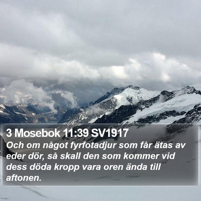 3 Mosebok 11:39 SV1917 Bible Verse Image