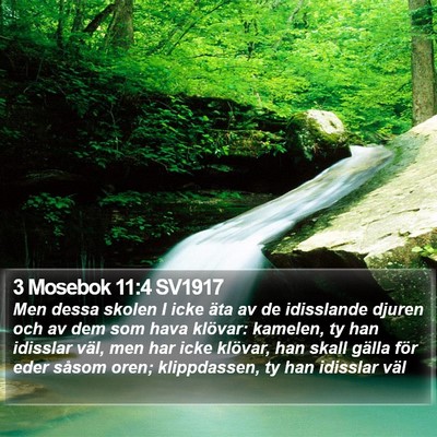 3 Mosebok 11:4 SV1917 Bible Verse Image