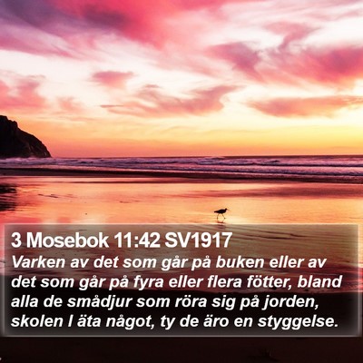 3 Mosebok 11:42 SV1917 Bible Verse Image