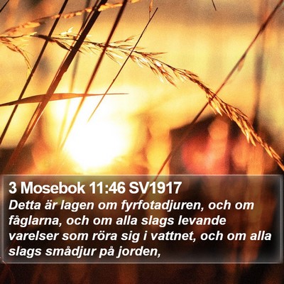 3 Mosebok 11:46 SV1917 Bible Verse Image