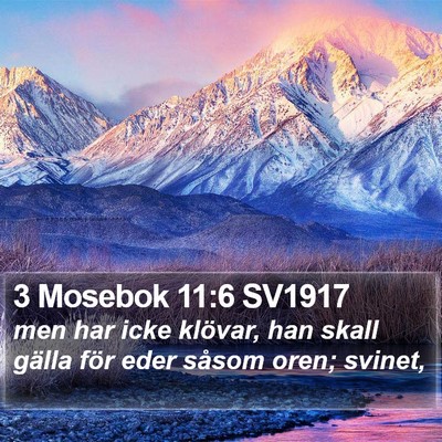 3 Mosebok 11:6 SV1917 Bible Verse Image