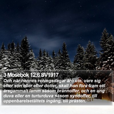 3 Mosebok 12:6 SV1917 Bible Verse Image