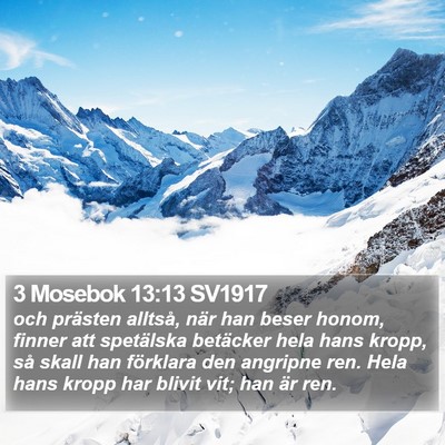 3 Mosebok 13:13 SV1917 Bible Verse Image