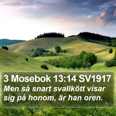 3 Mosebok 13:14 SV1917 Bible Verse Image