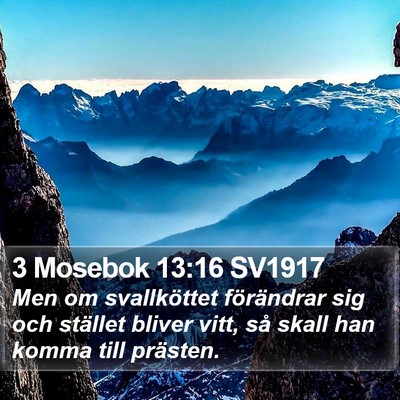 3 Mosebok 13:16 SV1917 Bible Verse Image