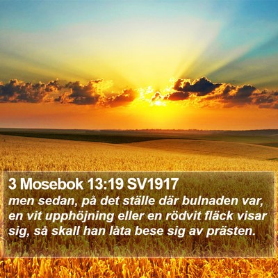 3 Mosebok 13:19 SV1917 Bible Verse Image