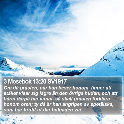 3 Mosebok 13:20 SV1917 Bible Verse Image