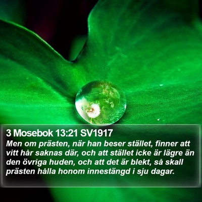 3 Mosebok 13:21 SV1917 Bible Verse Image