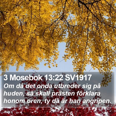 3 Mosebok 13:22 SV1917 Bible Verse Image
