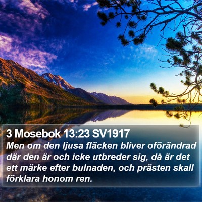3 Mosebok 13:23 SV1917 Bible Verse Image