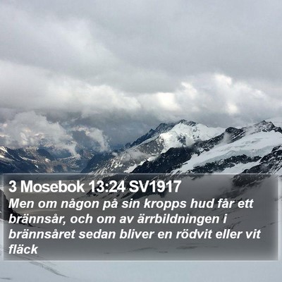 3 Mosebok 13:24 SV1917 Bible Verse Image