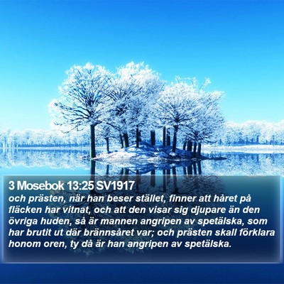 3 Mosebok 13:25 SV1917 Bible Verse Image