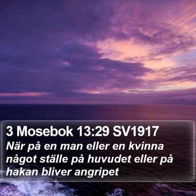3 Mosebok 13:29 SV1917 Bible Verse Image