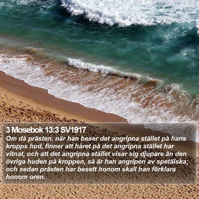 3 Mosebok 13:3 SV1917 Bible Verse Image