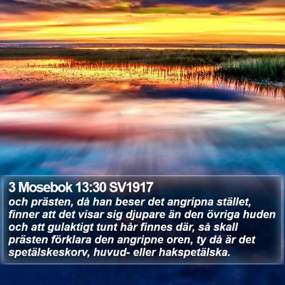 3 Mosebok 13:30 SV1917 Bible Verse Image