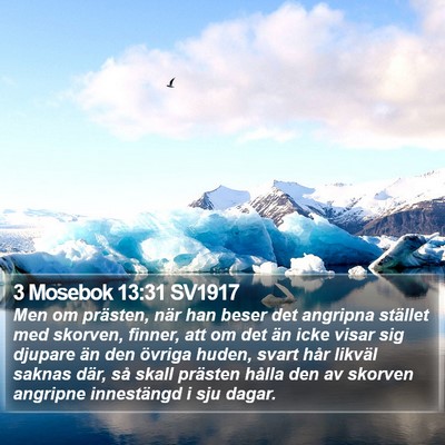 3 Mosebok 13:31 SV1917 Bible Verse Image