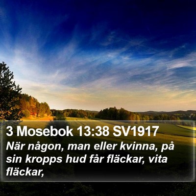 3 Mosebok 13:38 SV1917 Bible Verse Image