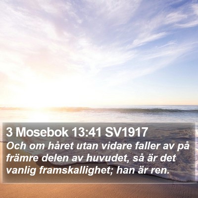 3 Mosebok 13:41 SV1917 Bible Verse Image
