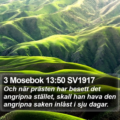3 Mosebok 13:50 SV1917 Bible Verse Image