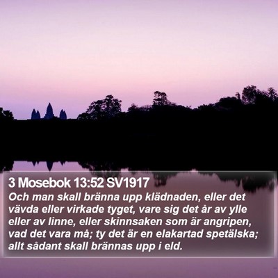 3 Mosebok 13:52 SV1917 Bible Verse Image