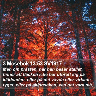 3 Mosebok 13:53 SV1917 Bible Verse Image
