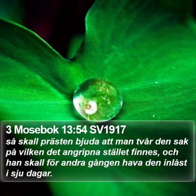 3 Mosebok 13:54 SV1917 Bible Verse Image