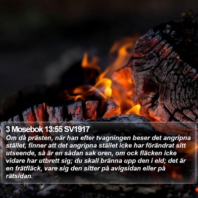 3 Mosebok 13:55 SV1917 Bible Verse Image