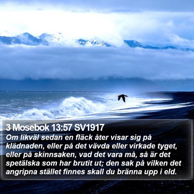 3 Mosebok 13:57 SV1917 Bible Verse Image