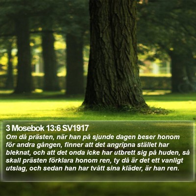 3 Mosebok 13:6 SV1917 Bible Verse Image