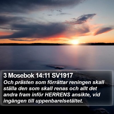 3 Mosebok 14:11 SV1917 Bible Verse Image