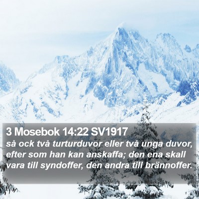 3 Mosebok 14:22 SV1917 Bible Verse Image