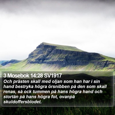 3 Mosebok 14:28 SV1917 Bible Verse Image