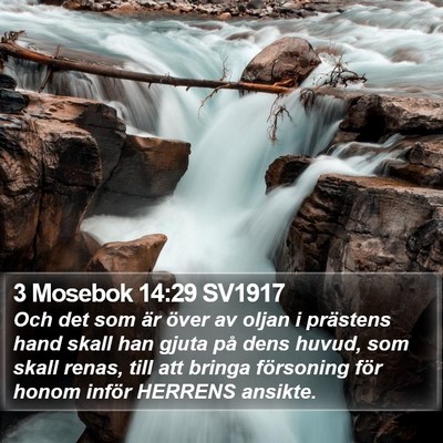 3 Mosebok 14:29 SV1917 Bible Verse Image