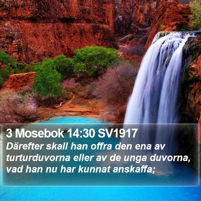 3 Mosebok 14:30 SV1917 Bible Verse Image