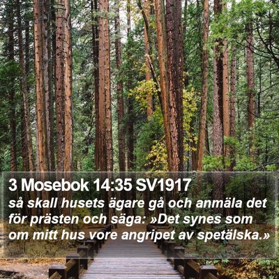 3 Mosebok 14:35 SV1917 Bible Verse Image