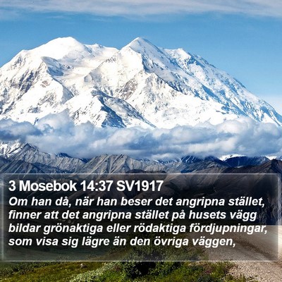 3 Mosebok 14:37 SV1917 Bible Verse Image