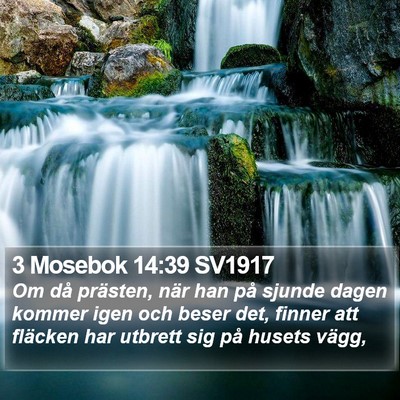 3 Mosebok 14:39 SV1917 Bible Verse Image