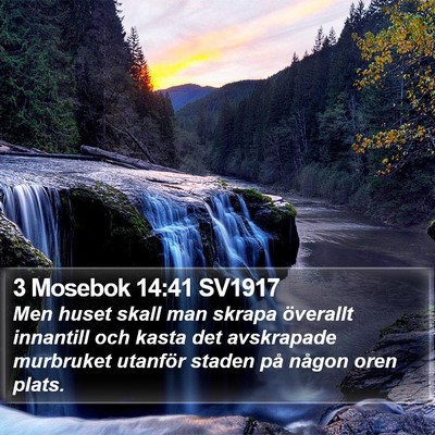 3 Mosebok 14:41 SV1917 Bible Verse Image
