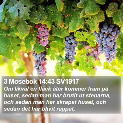 3 Mosebok 14:43 SV1917 Bible Verse Image