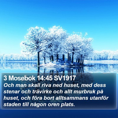 3 Mosebok 14:45 SV1917 Bible Verse Image