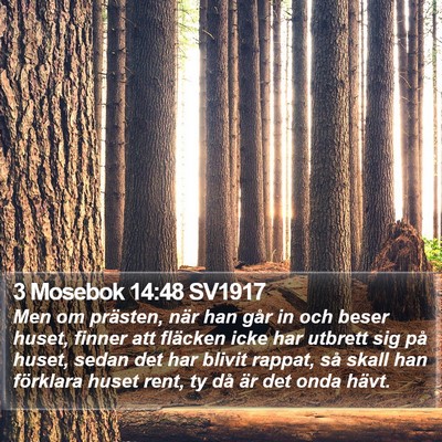 3 Mosebok 14:48 SV1917 Bible Verse Image