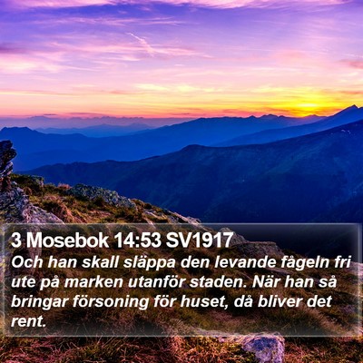 3 Mosebok 14:53 SV1917 Bible Verse Image